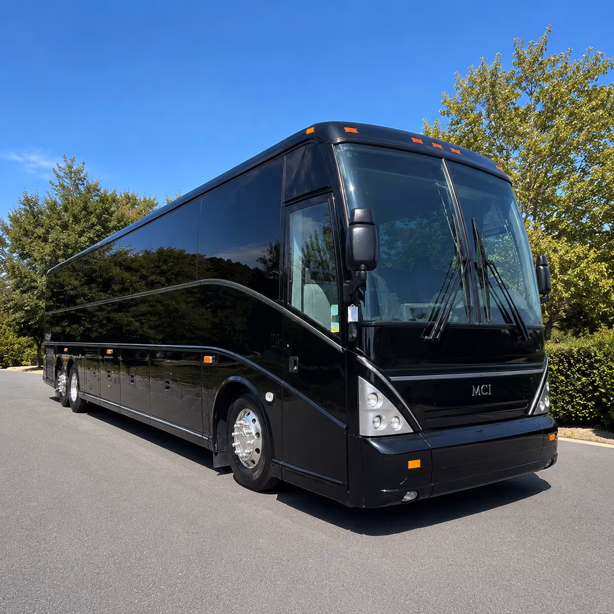 busrentalsarasota com helps you get your group to tampa bay buccaneers lightning rays games