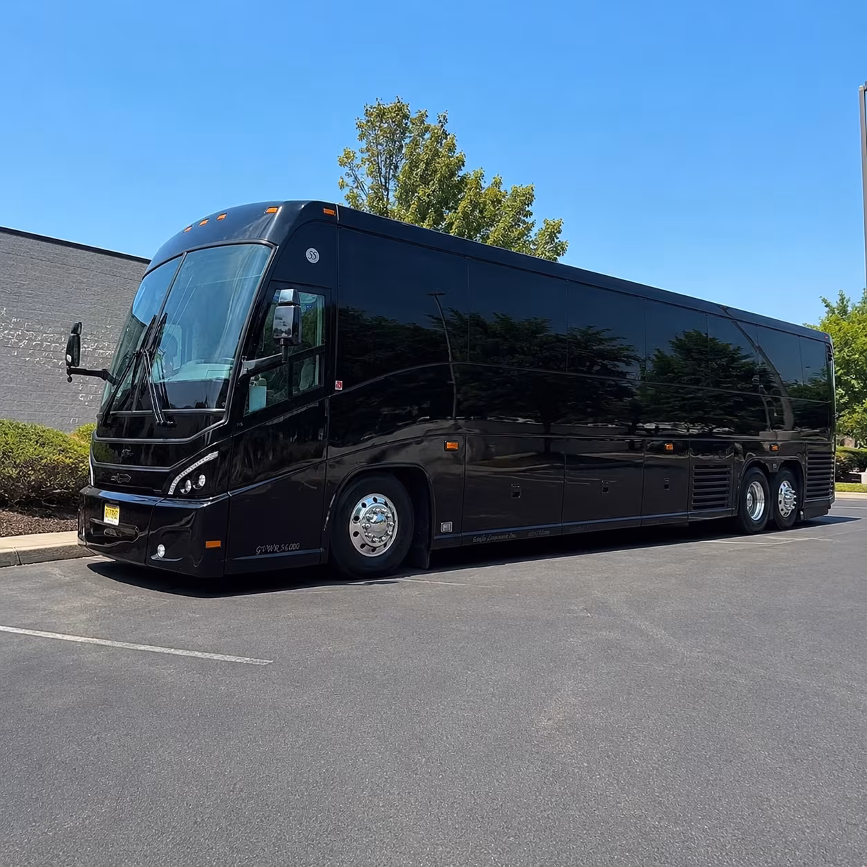 long distance bus trips to tampa port tampa bay and tpa